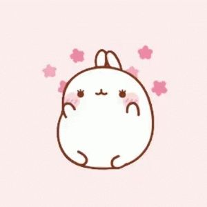 Meet your Posher, Daphne